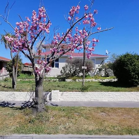 Homestay Double Room, Near The City Center Christchurch Exterior foto